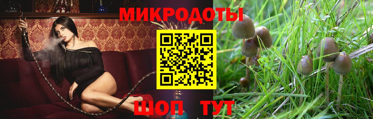 Псилоцибиновые грибы прущие грибы  Галлюциногенные грибы прущие грибы  Вход с VPN  купить   Темрюк 