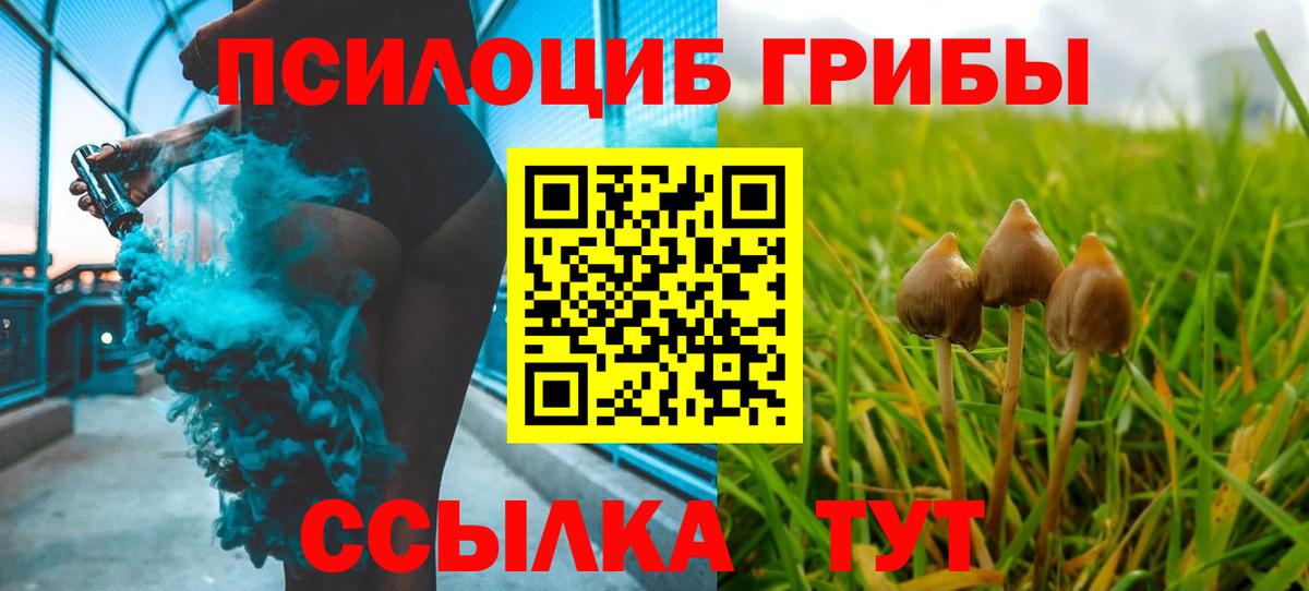 Галлюциногенные грибы Magic Shrooms Темрюк