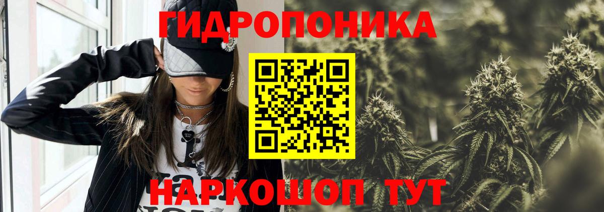 Бошки марихуана сатива Темрюк